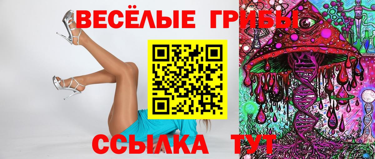 Псилоцибиновые грибы прущие грибы  где найти   Хабаровск  Вход с VPN 