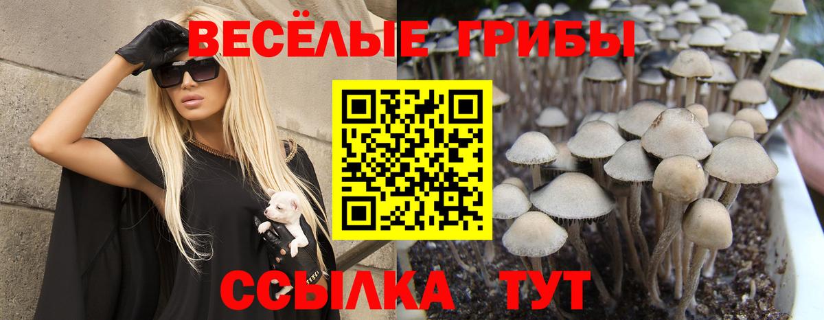 Псилоцибиновые грибы прущие грибы Хабаровск